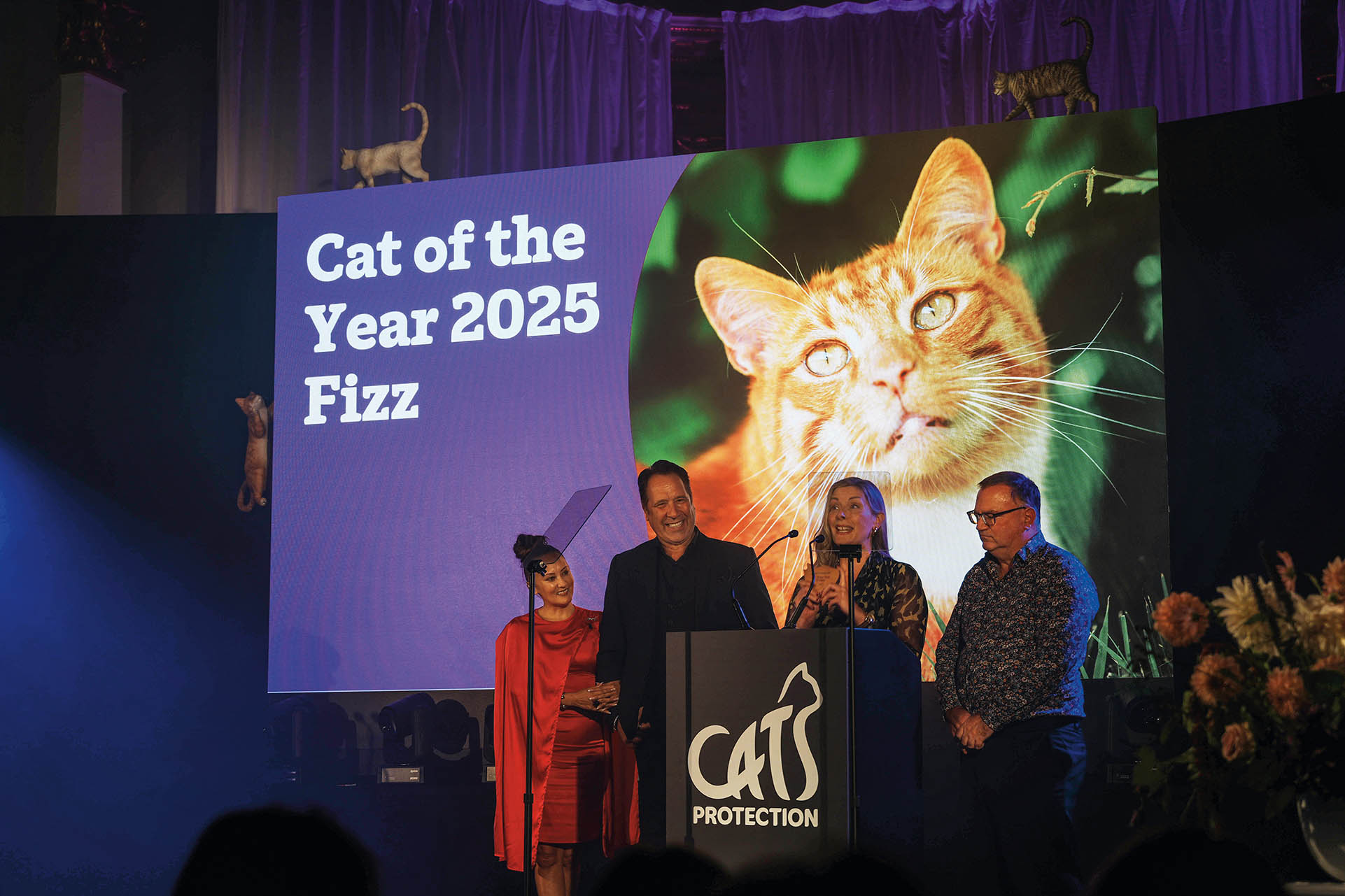 英國百年組織見證人與貓的故事