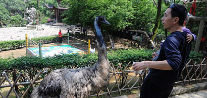 長(zhǎng)沙鳥語林群鳥體檢合格 百鳥與市民“共歡”