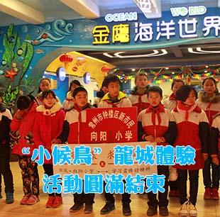 第52個學雷鋒日 “小候鳥”龍城體驗活動圓滿結(jié)束