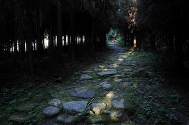 四川滎經(jīng):修復(fù)茶馬古道