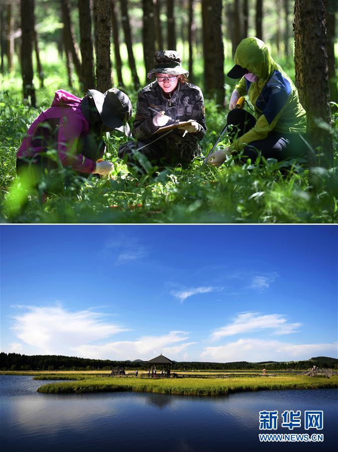 (新華全媒頭條·圖文互動(dòng))(4)領(lǐng)航新時(shí)代中國經(jīng)濟(jì)航船——從中央財(cái)經(jīng)領(lǐng)導(dǎo)小組會(huì)議看以習(xí)近平同志為核心的黨中央駕馭中國經(jīng)濟(jì)