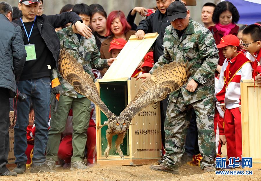 （鏡觀中國(guó)·新華網(wǎng)）（14）新華社國(guó)內(nèi)照片一周精選