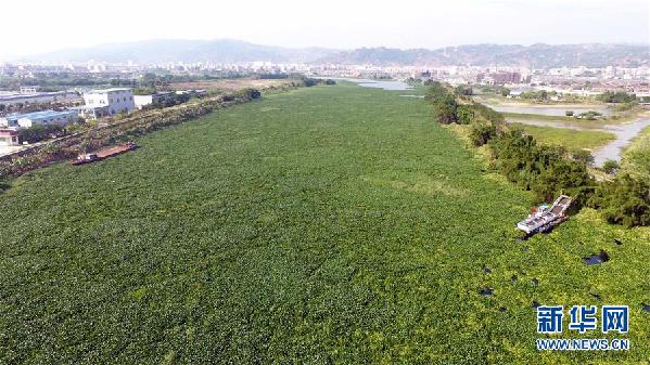 （圖文互動(dòng)）（1）“白練”變“黑龍”，江河變“草原”－－粵東母親河為何污染20多年難治理？