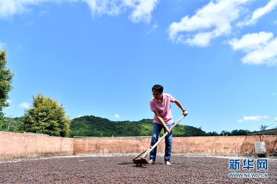 (經(jīng)濟(jì))(3)海南萬(wàn)寧:咖啡產(chǎn)業(yè)助推經(jīng)濟(jì)發(fā)展