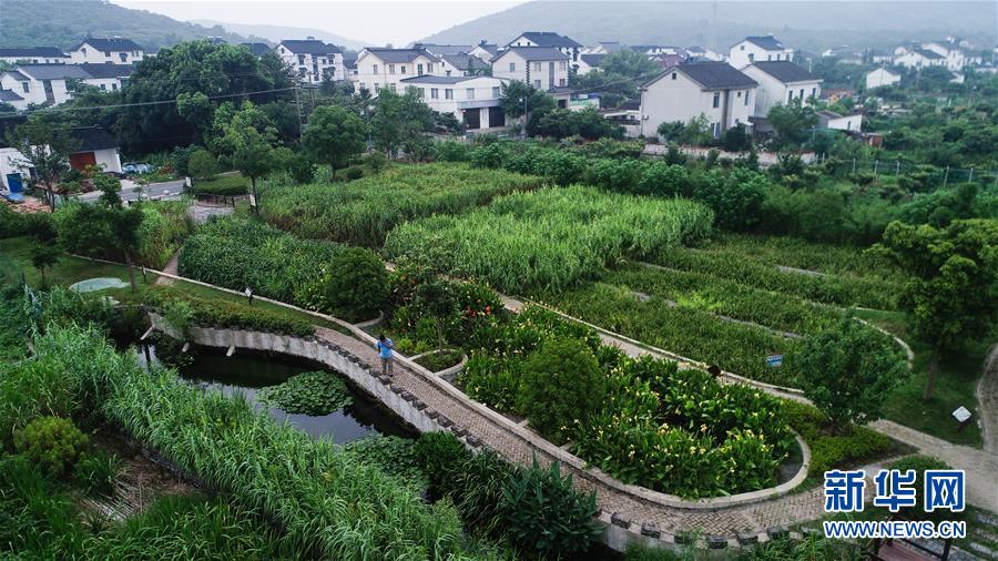 （在習近平新時代中國特色社會主義思想指引下——新時代新作為新篇章·圖文互動）（1）稀奇！治污濕地成了休閑公園——江蘇蘇州全域推進農村生活污水治理