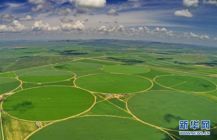 (經(jīng)濟(jì))(2)綠染塞北農(nóng)田 展壩上現(xiàn)代農(nóng)業(yè)新姿