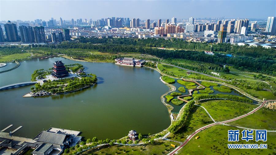 (壯闊東方潮 奮進(jìn)新時代——慶祝改革開放40年)(1)感受“毛烏素”的生機