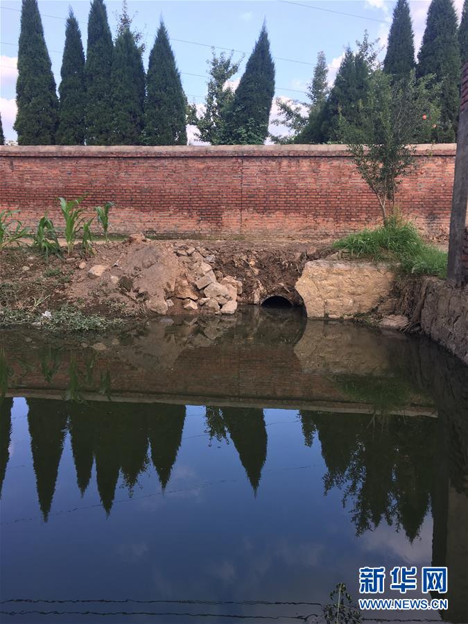 （新華視點·圖文互動）（3）上游洪水來襲下游魚蟹死亡，泄洪為何變泄污？