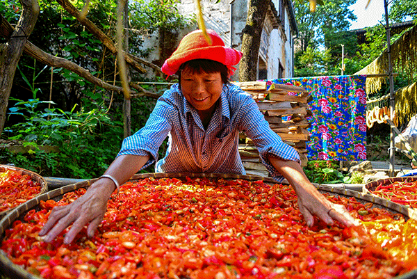 秋收的中國，你想象不到的美！但更美的是……