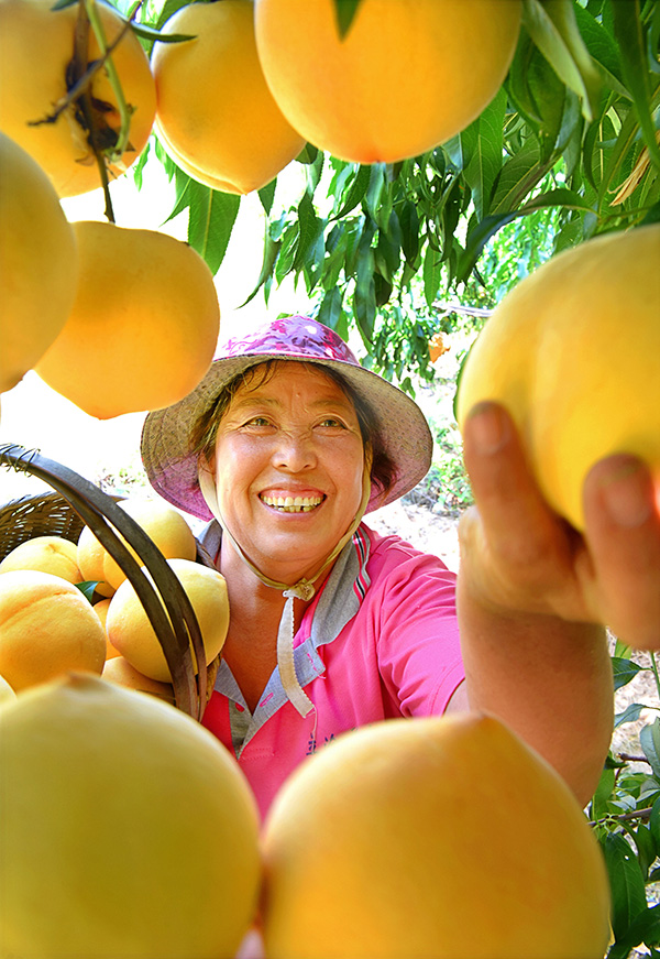 秋收的中國，你想象不到的美！但更美的是……