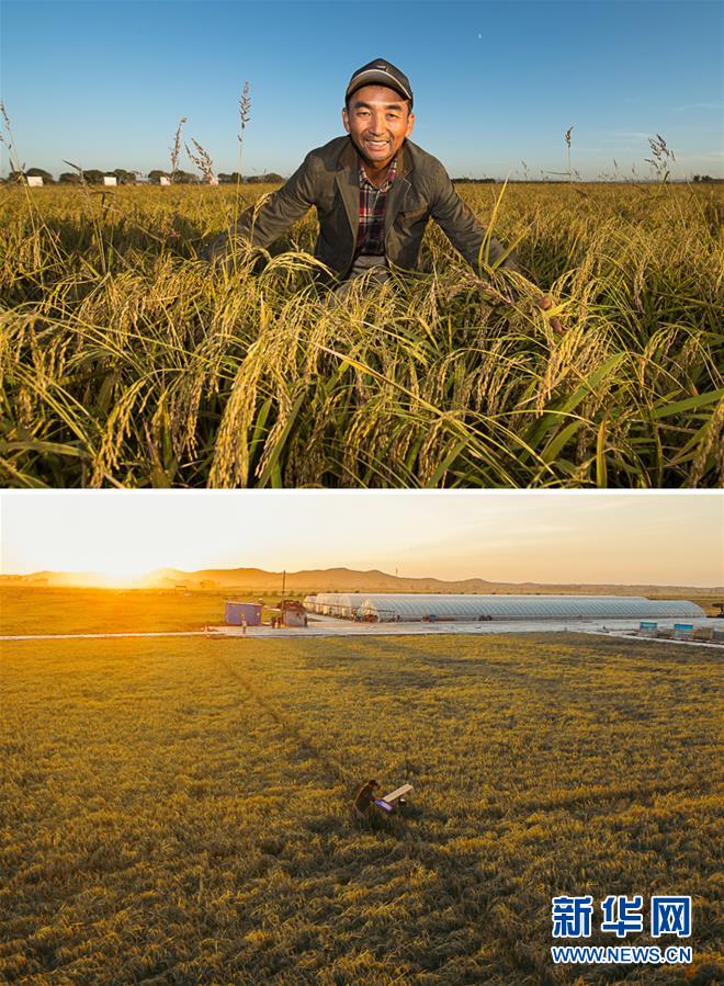 (新華全媒頭條·圖文互動(dòng))(10)最年輕的節(jié)日 最悠久的牽念——寫給首個(gè)中國農(nóng)民豐收節(jié)