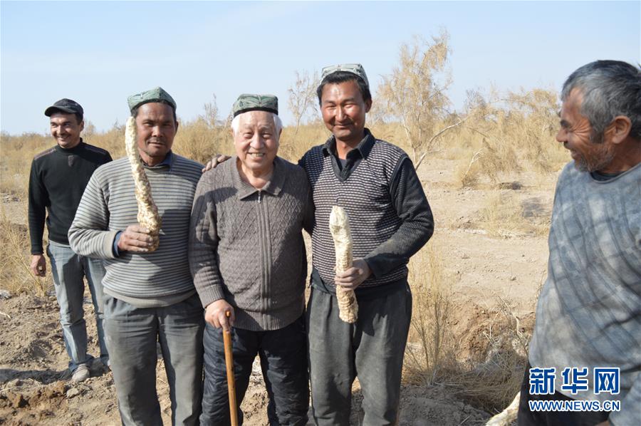 （圖文互動）（3）“劉紅柳”，一輩子大漠扎根種樹