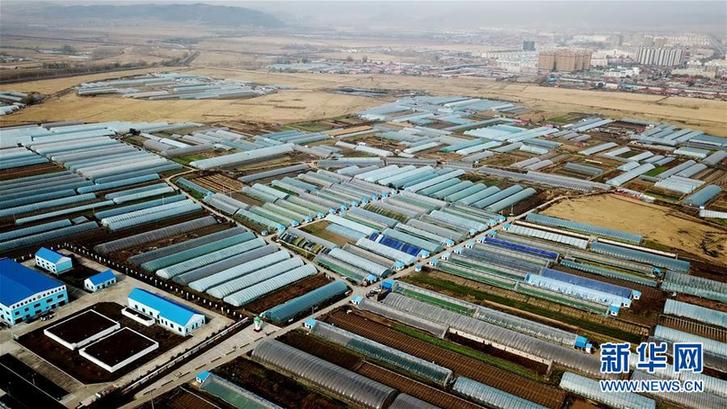 (在習近平新時代中國特色社會主義思想指引下——新時代新作為新篇章·鄉(xiāng)村振興戰(zhàn)略·圖文互動)(5)“十五連豐”譜新篇——端牢“中國飯碗”的龍江實踐