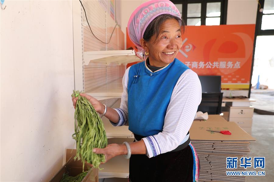 (新春走基層·圖文互動(dòng))(2)“蒜農(nóng)”不種蒜 買(mǎi)蒜過(guò)除夕——洱海農(nóng)業(yè)綠色轉(zhuǎn)型見(jiàn)聞