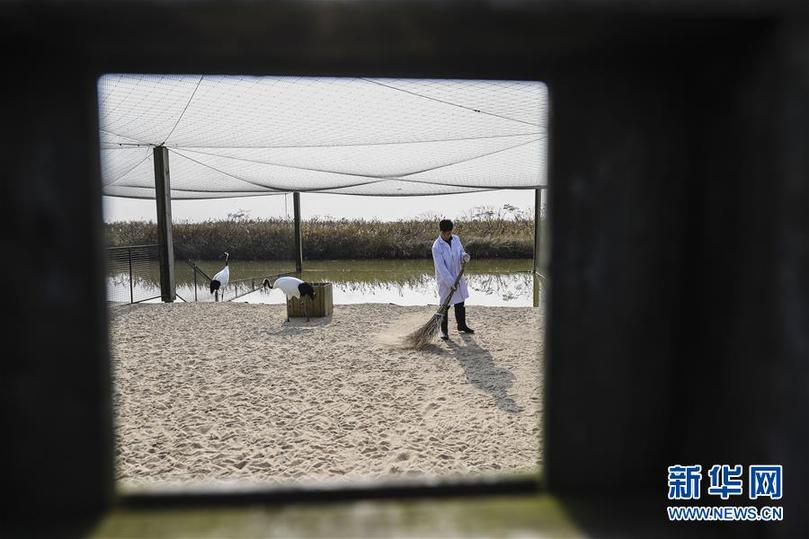 (兩會(huì)前夕看落實(shí)·圖文互動(dòng))(3)綠色發(fā)展引領(lǐng) 守護(hù)“魚米之鄉(xiāng)”——江蘇落實(shí)習(xí)近平總書記全國(guó)兩會(huì)重要講話精神紀(jì)實(shí)