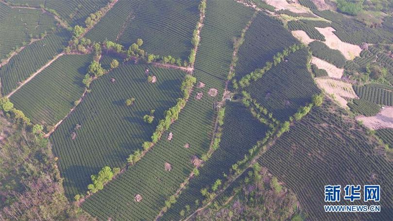 (兩會(huì)前夕看落實(shí)·圖文互動(dòng))(9)綠色發(fā)展引領(lǐng) 守護(hù)“魚米之鄉(xiāng)”——江蘇落實(shí)習(xí)近平總書記全國(guó)兩會(huì)重要講話精神紀(jì)實(shí)