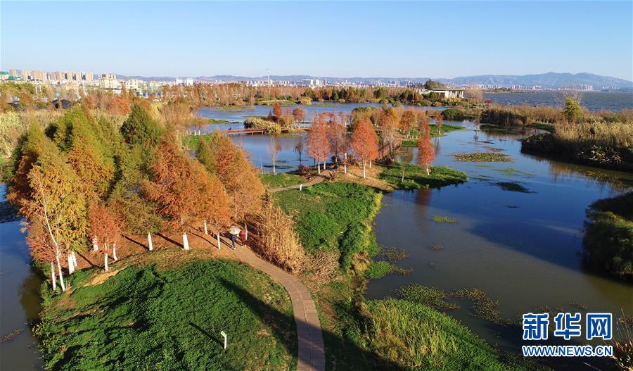 (在習(xí)近平新時(shí)代中國(guó)特色社會(huì)主義思想指引下——新時(shí)代新作為新篇章·圖文互動(dòng))(5)高原春來(lái)早 云嶺開新篇