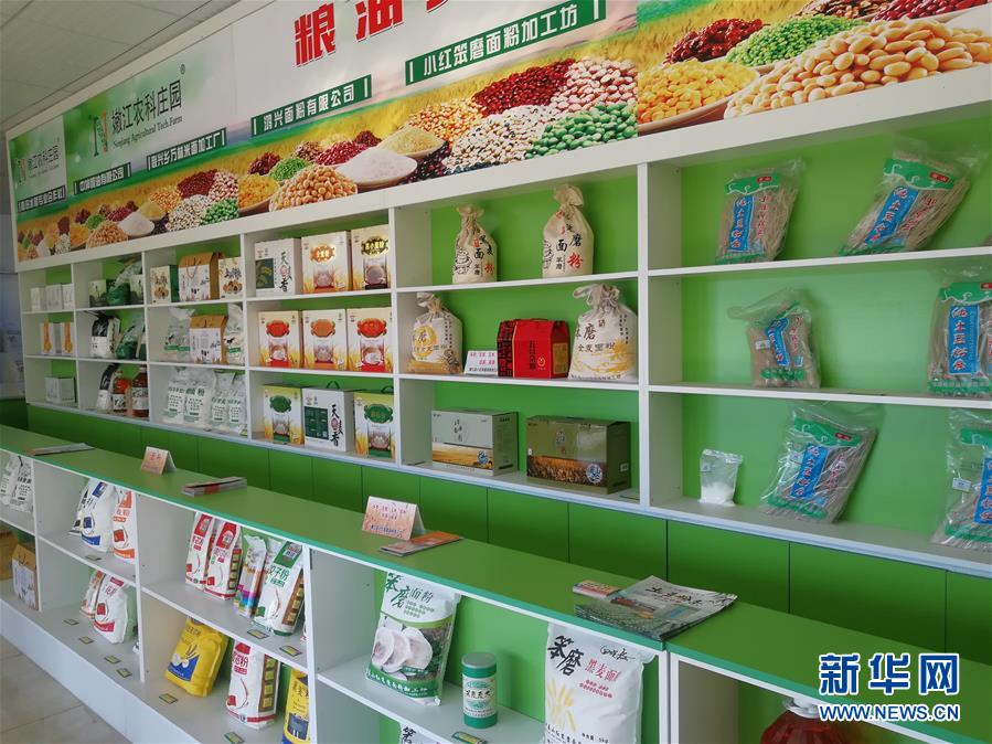 (在習(xí)近平新時代中國特色社會主義思想指引下——新時代新作為新篇章·圖文互動)(4)黑土地上感受“中國飯碗”新變化