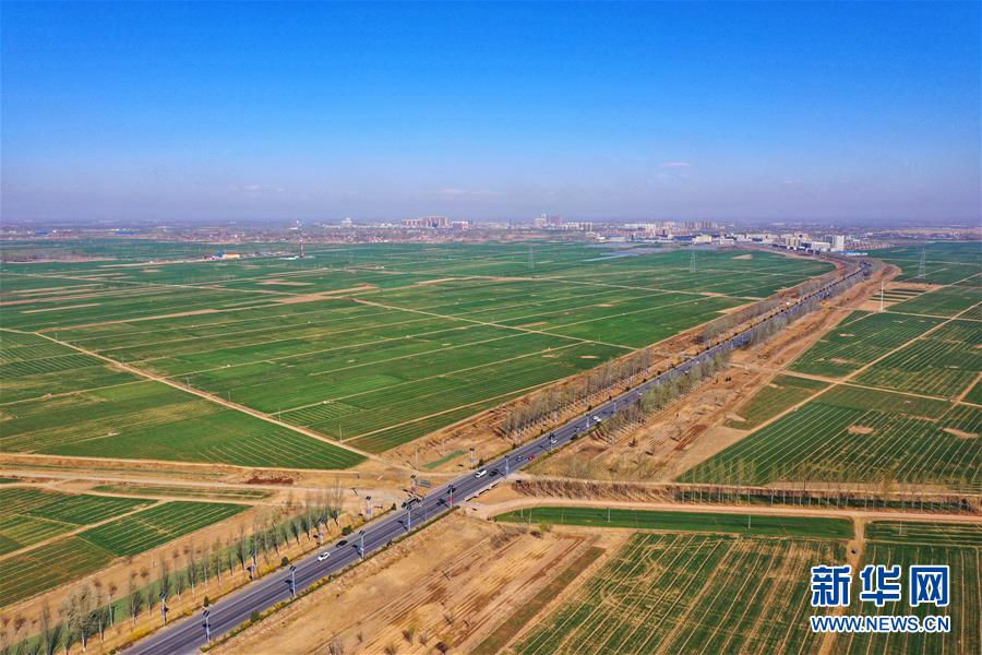 （新華全媒頭條·圖文互動(dòng)）（2）奮進(jìn)，向著未來之城！——河北雄安新區(qū)建設(shè)發(fā)展兩周年紀(jì)實(shí)