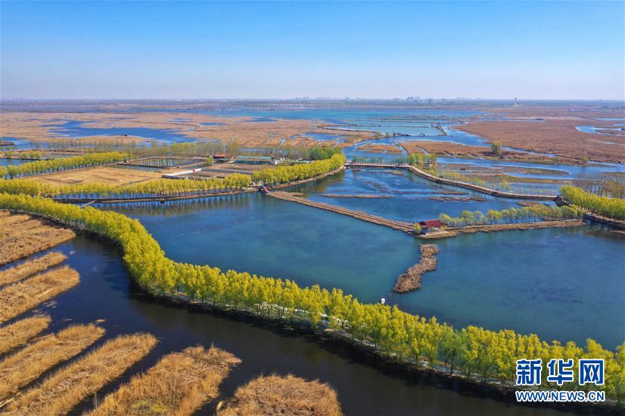 （新華全媒頭條·圖文互動(dòng)）（5）奮進(jìn)，向著未來之城！——河北雄安新區(qū)建設(shè)發(fā)展兩周年紀(jì)實(shí)