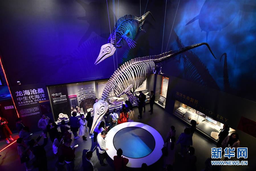 (社會(huì))(3)國家海洋博物館5月1日試運(yùn)行
