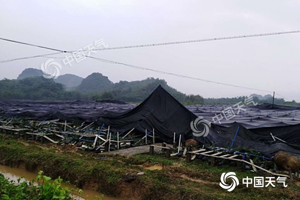 周末雨不休！南北方同迎大范圍降水