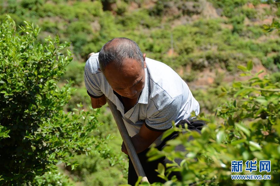 (壯麗70年·奮斗新時(shí)代·圖文互動(dòng)）（1）福建長(zhǎng)?。簱Q顏“山光水濁” 永駐綠水青山
