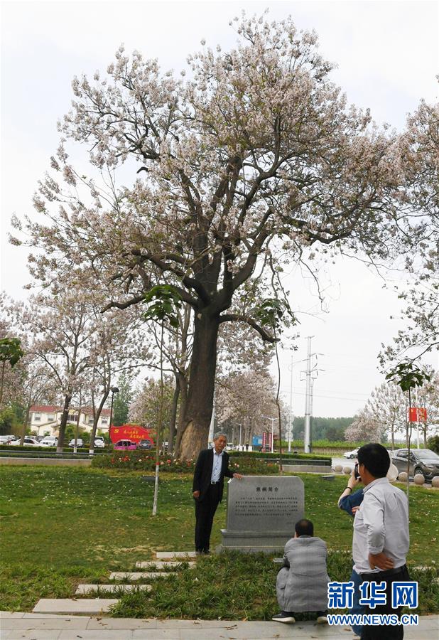 (壯麗70年·奮斗新時(shí)代·圖文互動(dòng))(6)以改革創(chuàng)新實(shí)現(xiàn)縣域新治——河南蘭考縣域治理樣本觀察