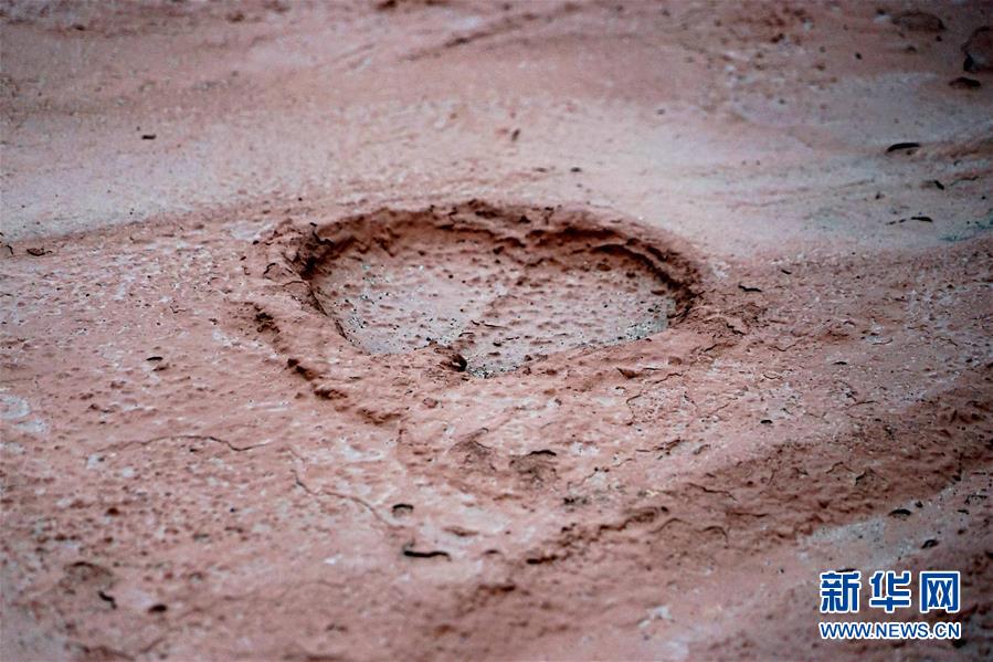 （新華全媒頭條·圖文互動(dòng)）（8）“若問(wèn)古今興廢事，請(qǐng)君只看洛陽(yáng)城”——千年古都“烹制”博物館盛宴