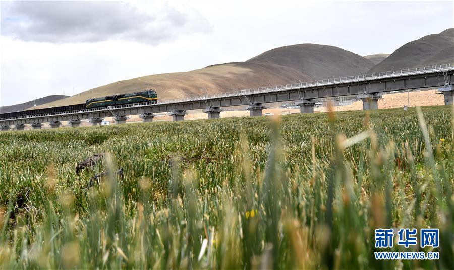 (新華全媒頭條·壯麗70年·奮斗新時(shí)代·圖文互動(dòng))(15)開拓雪域高原的夢想之路——來自青藏鐵路的蹲點(diǎn)報(bào)告