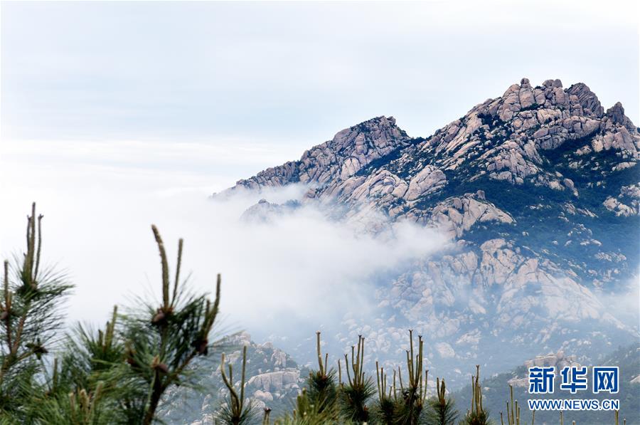 (北京世園會(huì))(8)生態(tài)中國·海岱齊魯鐘神秀