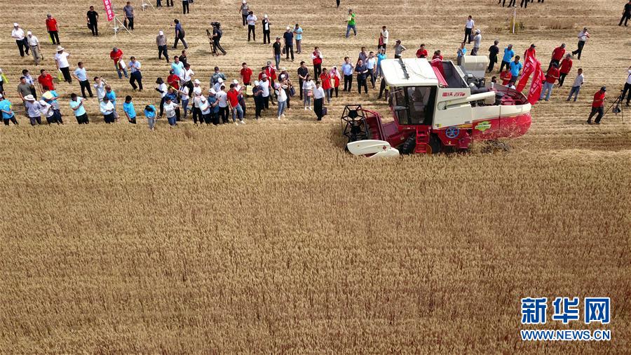 (壯麗70年·奮斗新時(shí)代——共和國(guó)發(fā)展成就巡禮)(3)看今朝齊風(fēng)魯韻 七十載芳華正勁——新中國(guó)成立以來(lái)山東領(lǐng)先發(fā)展紀(jì)實(shí)