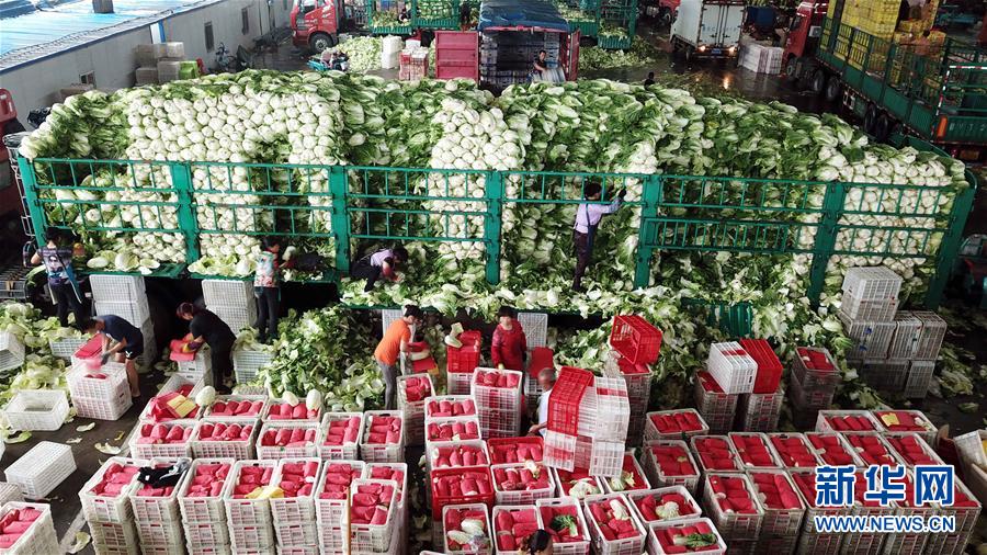 (壯麗70年·奮斗新時(shí)代——共和國(guó)發(fā)展成就巡禮)(5)看今朝齊風(fēng)魯韻 七十載芳華正勁——新中國(guó)成立以來(lái)山東領(lǐng)先發(fā)展紀(jì)實(shí)