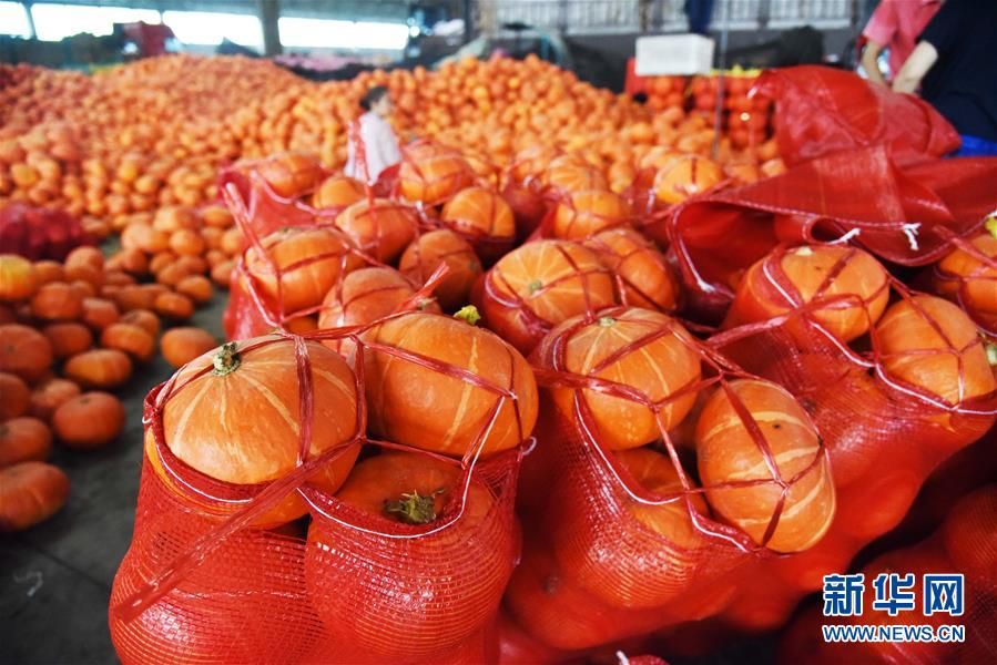 (壯麗70年·奮斗新時(shí)代——共和國(guó)發(fā)展成就巡禮)(6)看今朝齊風(fēng)魯韻 七十載芳華正勁——新中國(guó)成立以來(lái)山東領(lǐng)先發(fā)展紀(jì)實(shí)