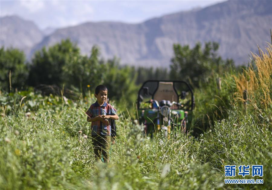 (決戰(zhàn)決勝脫貧攻堅(jiān)·圖文互動(dòng))(5)記者手記:尋訪昆侖“桃花源”的“祛病”良方