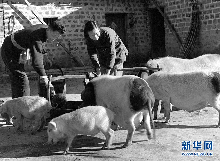 (紅土地“往事新說”·圖文互動(dòng))(5)萬里征途為初心 夫妻接力踐使命