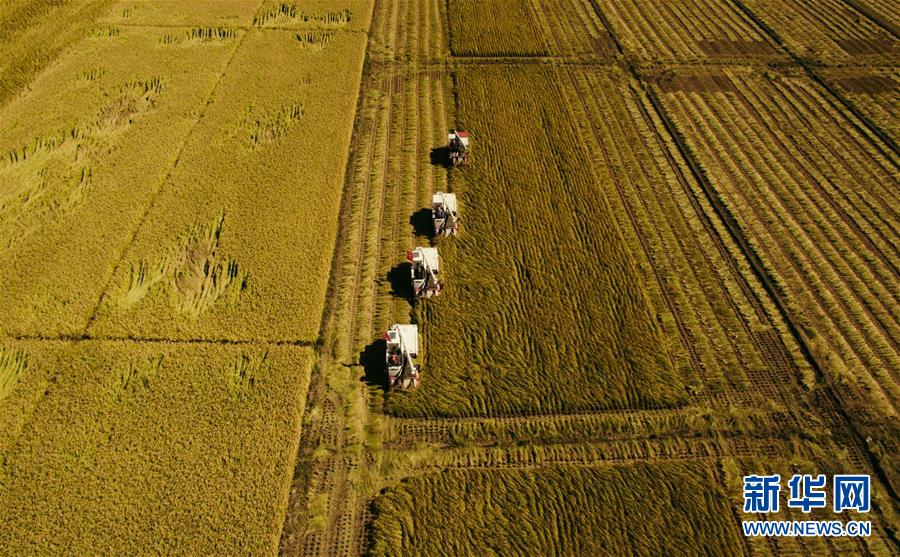 （新華全媒頭條·圖文互動）（5）紅色的傳承，藍圖的起點——新中國孕育與發(fā)展的“東北記憶”