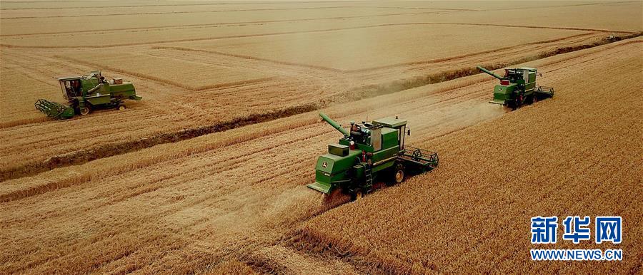 (新華全媒頭條·圖文互動)(1)大國糧倉的新時代交響——河南農(nóng)業(yè)70年觀察