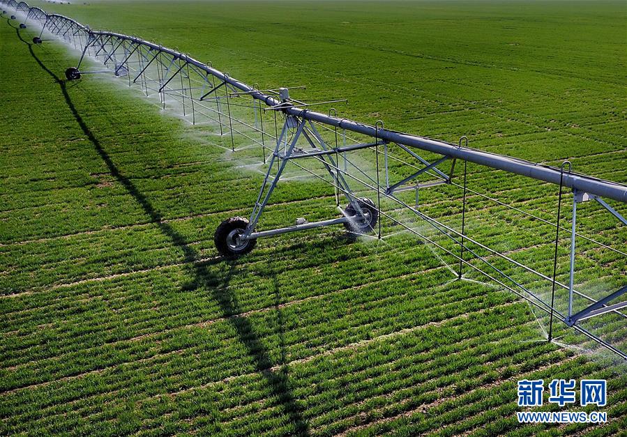 (新華全媒頭條·圖文互動)(4)大國糧倉的新時代交響——河南農(nóng)業(yè)70年觀察