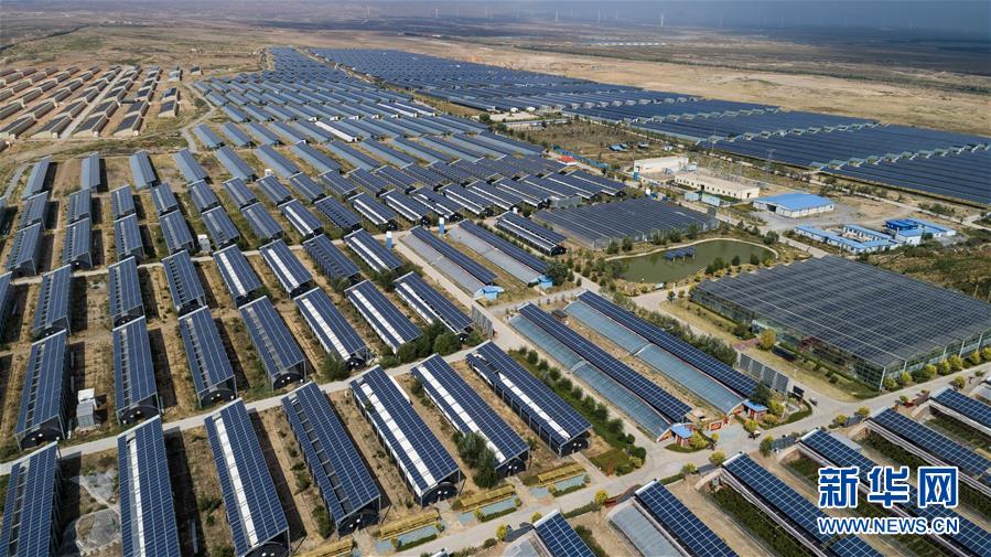 (集中連片特困地區(qū)貧困村調(diào)研行·圖文互動(dòng))(4)“金沙灘”上希望無限——寧夏永寧縣原隆村脫貧調(diào)查