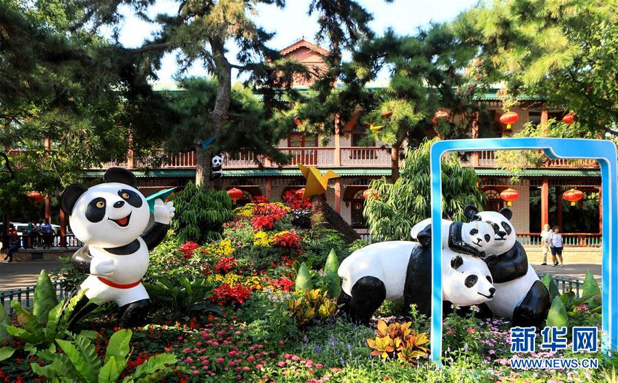 (圖文互動(dòng))(1)15萬平方米花卉扮靚首都公園