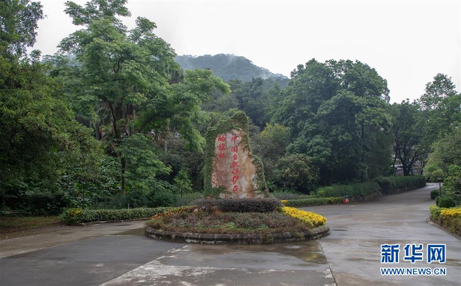 (圖文互動)(1)科學(xué)接續(xù)保護(hù) 守住生態(tài)紅線——探訪“北回歸沙漠帶上的綠色明珠”