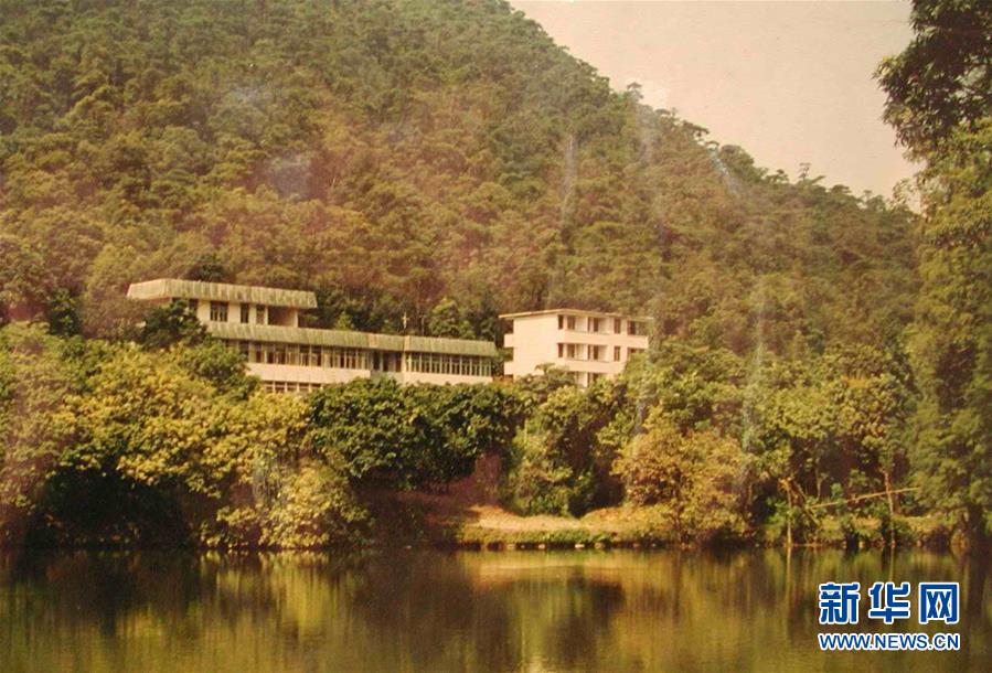 (圖文互動)(4)科學(xué)接續(xù)保護(hù) 守住生態(tài)紅線——探訪“北回歸沙漠帶上的綠色明珠”