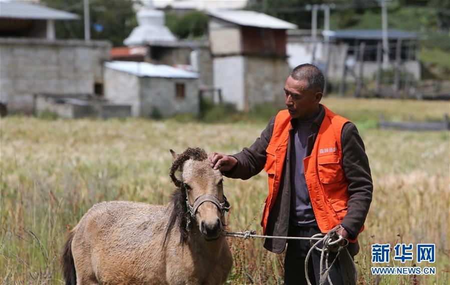 (新華全媒頭條·決戰(zhàn)決勝脫貧攻堅(jiān)·圖文互動)(4)為了人與自然和諧共生——云南“三江并流”地區(qū)決戰(zhàn)精準(zhǔn)脫貧的“生態(tài)畫卷”