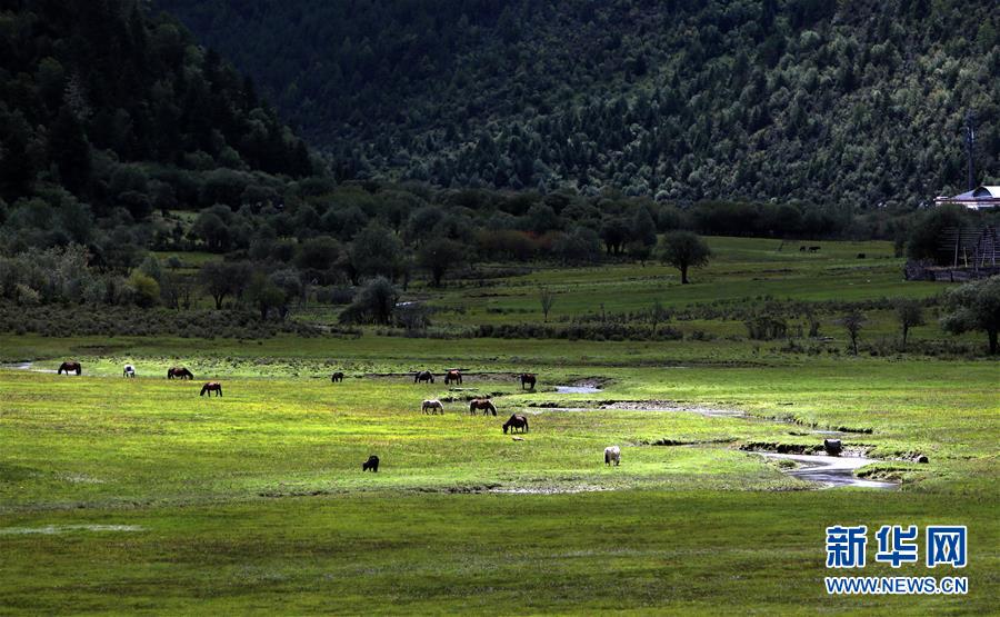 (新華全媒頭條·決戰(zhàn)決勝脫貧攻堅(jiān)·圖文互動)(7)為了人與自然和諧共生——云南“三江并流”地區(qū)決戰(zhàn)精準(zhǔn)脫貧的“生態(tài)畫卷”