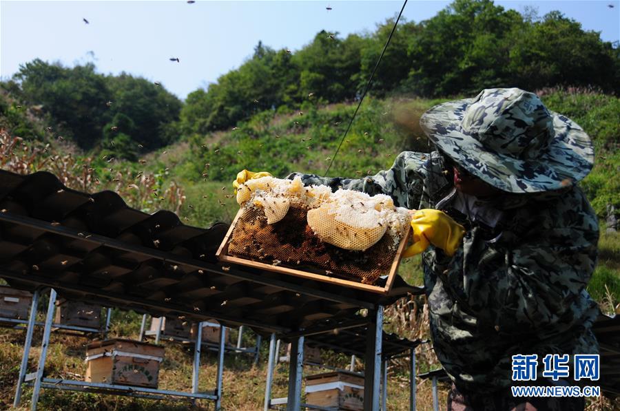 （新華全媒頭條·圖文互動）（4）永不歸來的“戰(zhàn)士”——追記倒在脫貧攻堅一線的貴州沿河縣駐村第一書記文偉紅