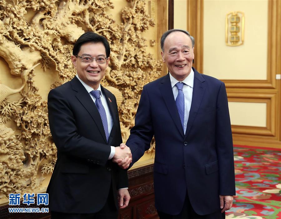 (時政)王岐山會見新加坡副總理兼財政部長王瑞杰
