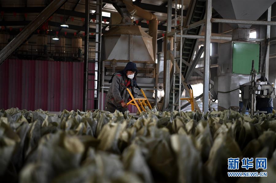 （新華全媒頭條·圖文互動(dòng)）（7）為美麗中國增添綠色動(dòng)力——2019年太原能源低碳發(fā)展論壇釋放綠色發(fā)展新信號(hào)