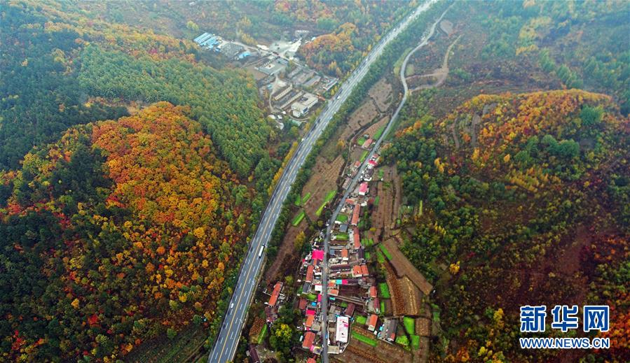 (新華全媒頭條·四中全會(huì)精神在基層·圖文互動(dòng))(6)沖破衰退循環(huán) 引領(lǐng)生態(tài)崛起——東北老工業(yè)基地城市本溪綠色轉(zhuǎn)型煥發(fā)朝氣