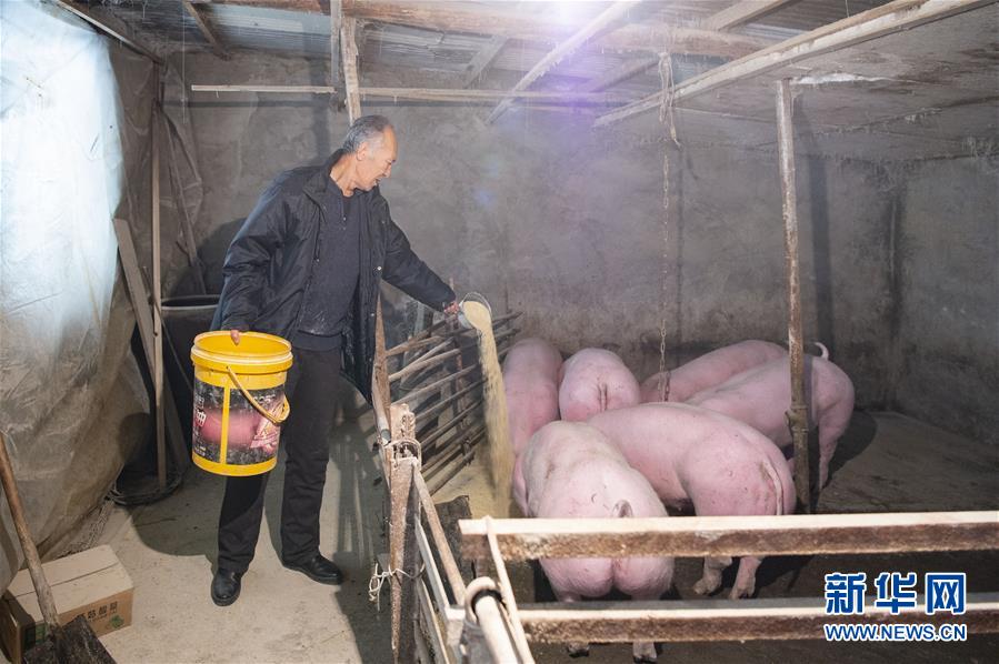 (圖文互動(dòng))(5)從“輕工漁網(wǎng)重工馬掌”到“圓夢(mèng)小康”——“中國(guó)東極”脫貧攻堅(jiān)剪影